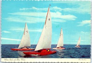 Postcard - White Sails and Blue Water