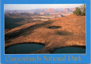 Postcard Canyonlands National Park - Pools of Rainwater at Green River overlook