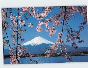 Postcard Lake Kawaguchi, Mt. Fuji & Cherry Blossoms Japan