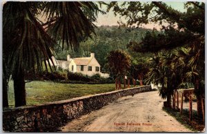 Typical Bermuda House Homeroad Trees & Grounds Attractions Postcard