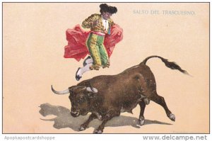 Bull Fight Salto Del Trascuerno