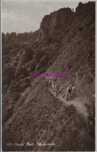 Devon Postcard - Goats Path, Watcombe - Real Photo  RS38719