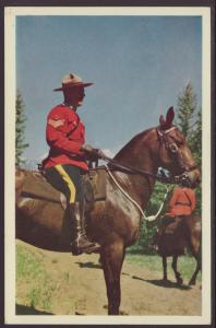 Royal Canadian Mounted Police Postcard