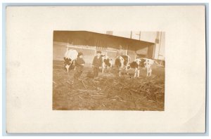 c1910's Candid Farm Farmer Cows Children RPPC Photo Unposted Postcard 