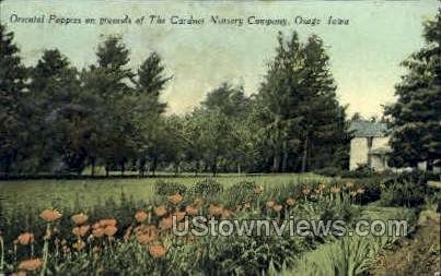 Gardner Nursery Company - Osage, Iowa IA  