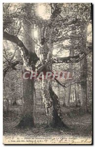 Old Postcard Tree Forest of Fontainebleau The Charne Oak