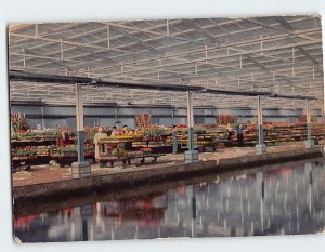 Postcard Quay for bedding plants with supply-canal, Aalsmeer, Netherlands