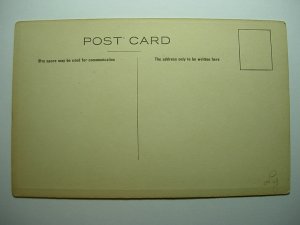 pre-1915 Art Nouveau PRETTY WOMAN HOLDING APPLE Unused Postcard y8941