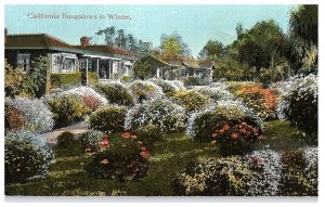 California, Bungalows In Winter, Scenic View, Vintage Postcard M. Reider 1912