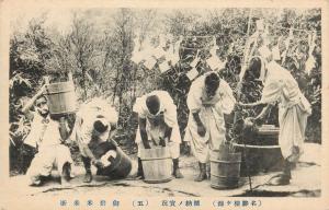 Zhejang Rice Field Ikenga Sakana Japan Postcard