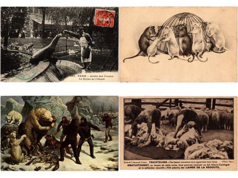 ANIMALS ANIMAUX MIX 300 CPA Pre - 1940