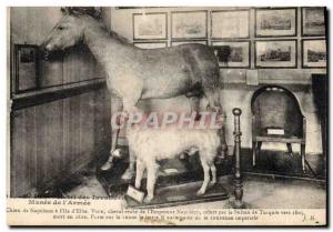 Old Postcard Horse Riding Equestrian Paris Musee de l & # 39Armee Hotel des I...