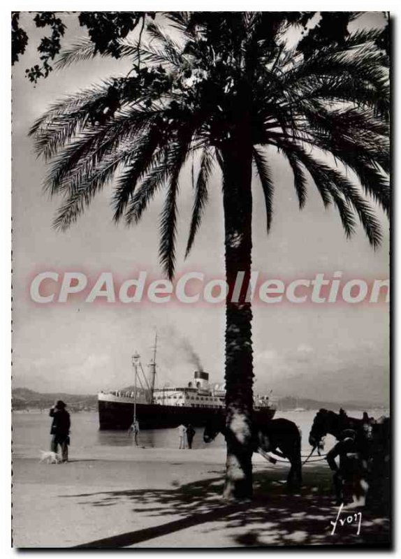 Modern Postcard Ajaccio Napoleon And The Quai Pascal Paoli