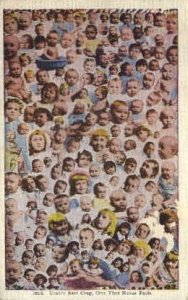 Utahs Best Crop - Misc