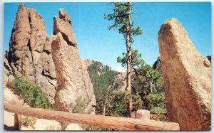 Postcard - Needles Drive, Custer State Park, Black Hills - South Dakota