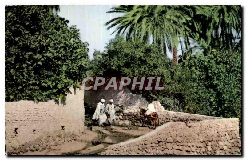 Old Postcard Scenes Algeria and types- BCU Saada