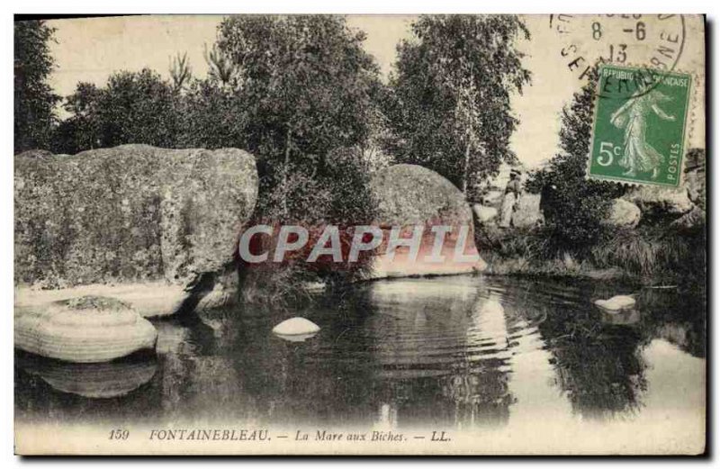 Old Postcard Fontainebleau La Mare Aux Biches