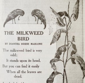 1917 The Milkweed Bird Poem Diantha Horne Marlowe Art Antique Ephemera LGADYC4