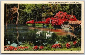 Vtg Mobile Alabama AL Bellingrath Gardens Swans Lake 1940s View Postcard