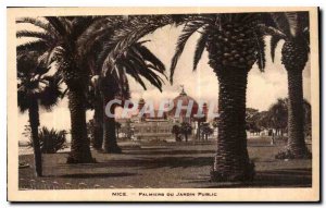 Postcard Old Nice Palms Public Garden