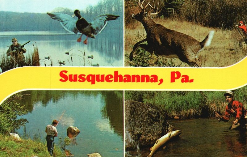 Postcard Fishing Deer Bird Hunting Forest River Adventures In Susquehanna River