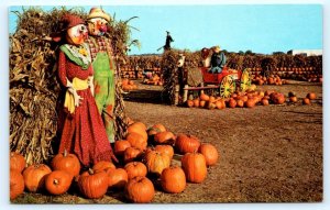 WOODCLIFF LAKE, New Jersey NJ ~ Scarecrow VAN RIPER'S FARM Pumpkins Postcard