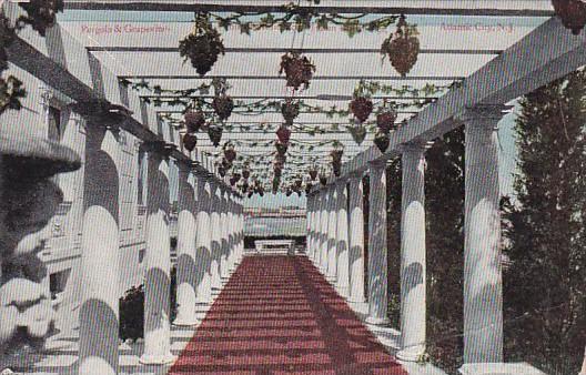 Pergola and Grapevine Atlantic City New Jersey 1910