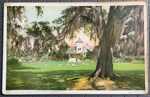 Vintage Postcard 1907 Ashley Hall Magnolia-on-the-Ashley Charleston SC