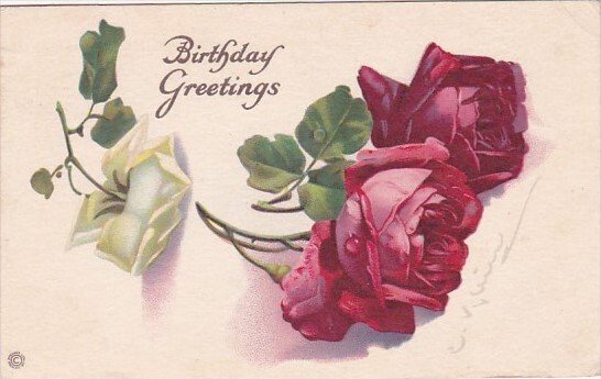 Birthday Greetings Beautiful Roses 1921 Signed Catharina Klein