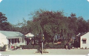 MELBOURNE , Florida , 1950-60s ; River Oak Hotel Court