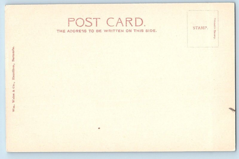 Bermuda Postcard Formation Presentation of Colours Drums Flag c1905 Antique