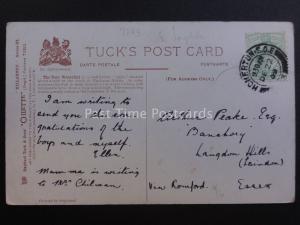 Ireland Co. Kerry KILLARNEY - TORC WATERFALL Art by E. Longstaffe c1909