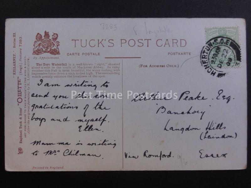 Ireland Co. Kerry KILLARNEY - TORC WATERFALL Art by E. Longstaffe c1909