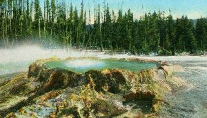 Postcard Early View of Punch Bowl Spring in Yellowstone Park,Wyoming.   S4