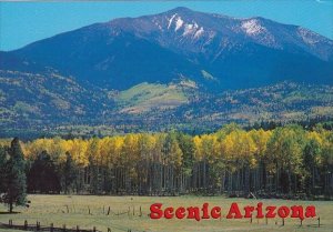 Arizona Flagstaff Scenic Arizona Autumn Colors On The San Francoisco Peaks