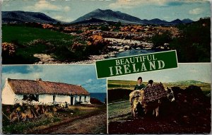 VINTAGE BEAUTIFUL IRELAND SCENIC COTTAGE DONKEY LANDSCAPE POSTCARD 36-6