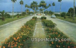 Flowerline Causeway - Clearwater Beach, Florida FL