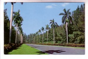 Royal Palm Entrance, Hialeah Race Course, Florida,