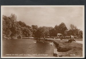 Kent Postcard - Swans on The Lake, Central Park, Dartford  RS8592