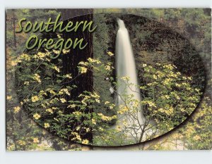 Postcard Dogwood in bloom at Mill Creek Falls Southern Oregon USA