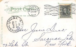 Picking Cotton View Images