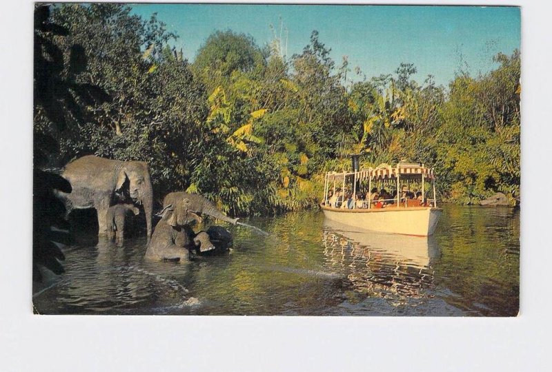 VINTAGE POSTCARD DISNEYLAND ADVENTURELAND ELEPHANT BATHING POOL