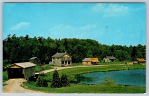 Covered Bridge, Doon Pioneer Village, Kitchener Ontario, Vintage Postcard #2