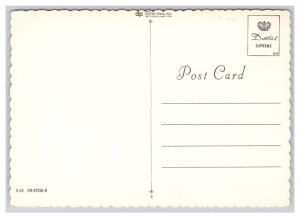 Postcard Devoted! Kitten Continental View