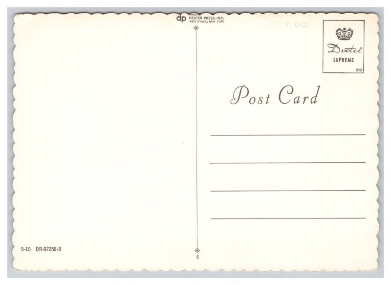 Postcard Devoted! Kitten Continental View