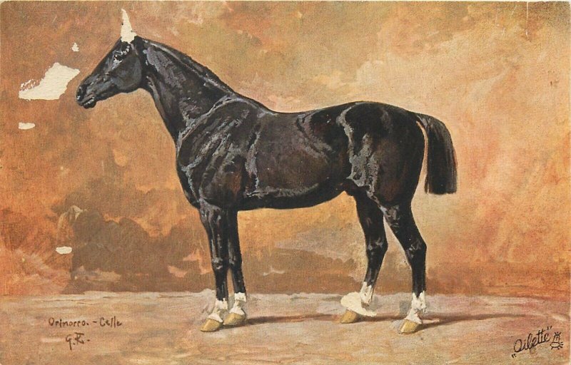 Horse early postcard serie Luxuspferde Oilette Raphael Tuck