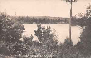 Otter Lake New York Crescent Island Adirondacks Real Photo Postcard AA110475