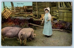 Animals Postcard Hogs Pig Farm Corn Fed Woman Mapleton Iowa IA c1910's Antique