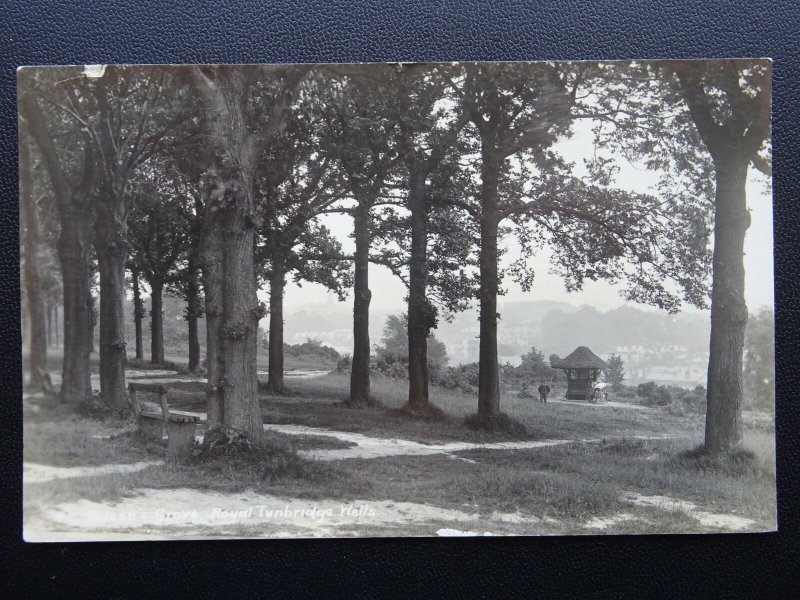 Kent ROYAL TUNBRIDGE WELLS The Queens Grove showing Shelter c1930 RP Postcard