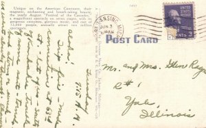 Vintage Postcard 1930's Aerial View of Cascades Jackson MI Michigan